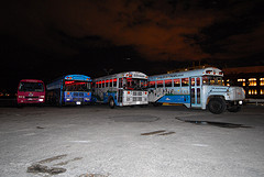 The Bustonian Buses